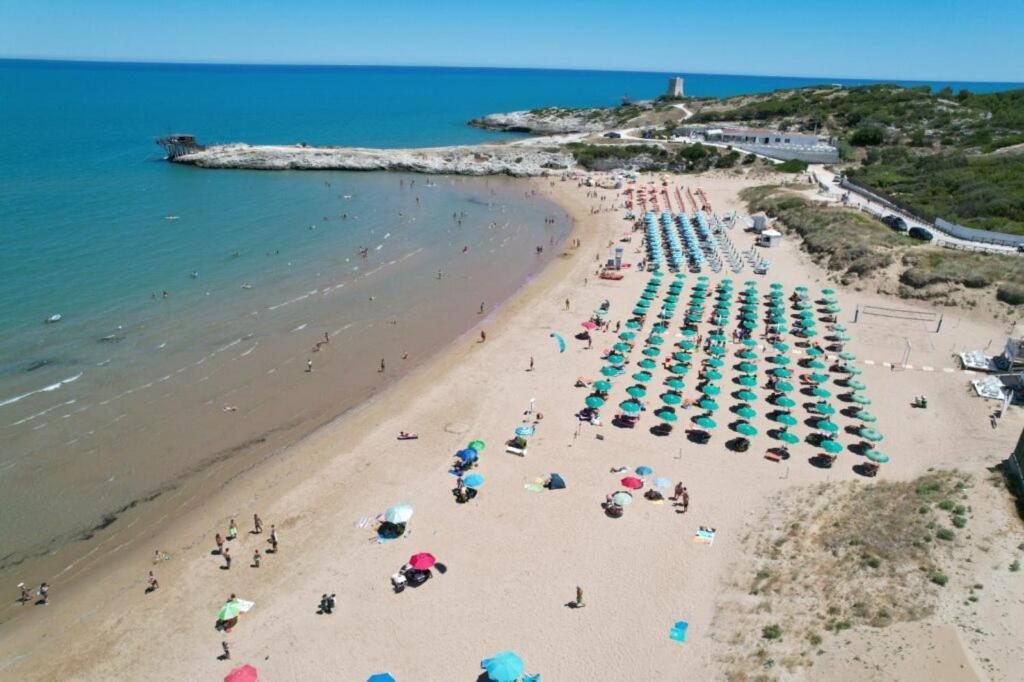 Appartamenti Gallo Club Вьесте Экстерьер фото